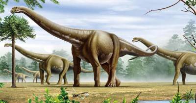 Миграция динозавров стала возможной благодаря серьезному изменению климата, - ученые