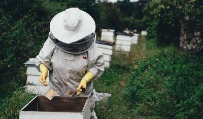 Фермер из Башкирии отсудил у сельхозпредприятия 417 тысяч рублей за гибель пчел