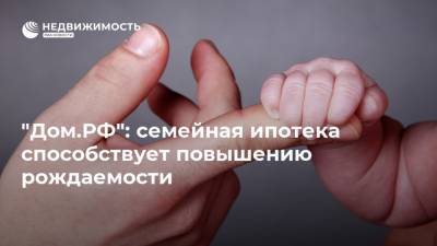"Дом.РФ": семейная ипотека способствует повышению рождаемости