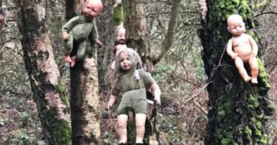 Поиграй со мной: в лесу нашли жутких кукол, прибитых к деревьям