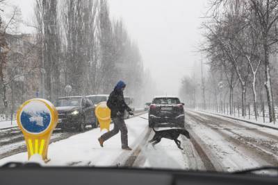В Украине начнут штрафовать пешеходов и велосипедистов: новый закон