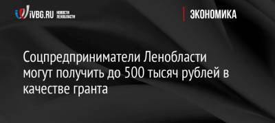 Соцпредприниматели Ленобласти могут получить до 500 тысяч рублей в качестве гранта
