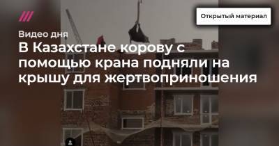В Казахстане корову с помощью крана подняли на крышу для жертвоприношения