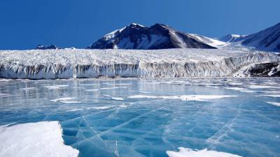 Британские ученые нашли во льдах Антарктиды ранее неизвестных науке существ