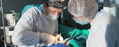 Кировские медики спасли жизнь пациенту с четвертой стадией рака