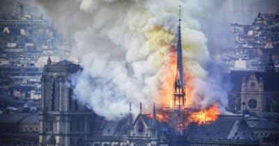 Во Франции ищут вековые дубы для восстановления сгоревшего шпиля собора Нотр-Дам