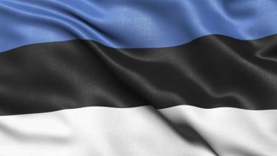 Коронавирус "урезал" расходы Эстонии на армию