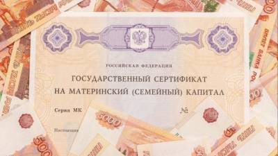 Схему с обналичиванием материнского капитала раскрыли в Петербурге