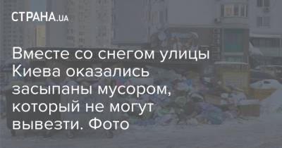 Вместе со снегом улицы Киева оказались засыпаны мусором, который не могут вывезти. Фото