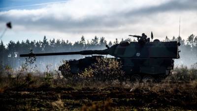 Поляки бурно обсуждают германскую бронетехнику вблизи границ с РФ