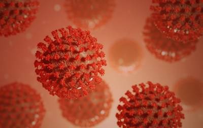 Эксперт рассказал, как на самом деле выглядит коронавирус