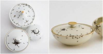 Эксклюзивная посуда: почему чашки с муравьями стоят так дорого