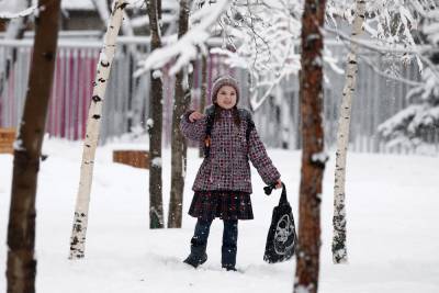 На Ставрополье продлили свободный режим посещения школ и детсадов из-за снегопадов