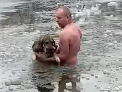 Мужчина стал «ледоколом» и не только спас собаку, но и прославился на весь мир