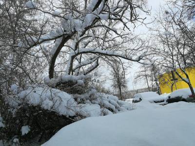 Из-за рекордных морозов на юге США без электричества остались более 4 млн человек
