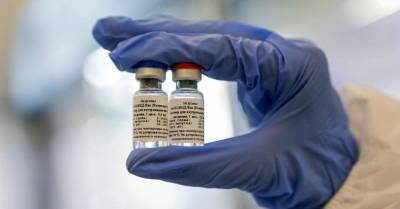 В Магадане выбросили 240 доз вакцины от коронавируса