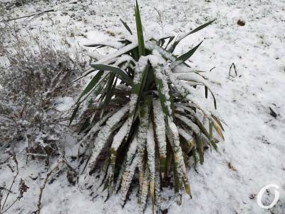 Погода в Одессе 17 февраля: морозы не отступят
