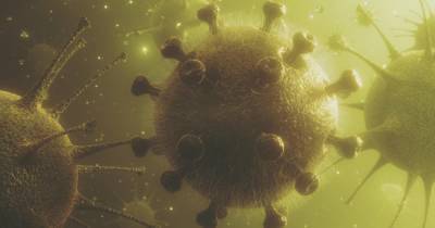 В Чехии назвали коронавирус "биологическим оружием Китая"