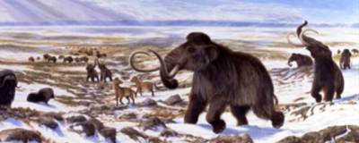 Ученые назвали причину вымирания мамонтов в Северной Америке