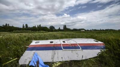 Катастрофа MH17: Рада продлила соглашение с Нидерландами о сотрудничестве в расследовании