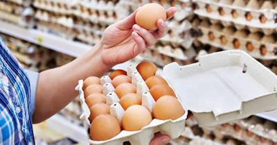 Куриные яйца и мясо птицы могут подорожать на 10%
