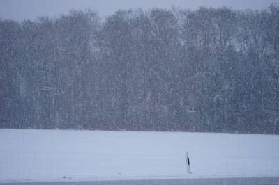 Водитель снегоуборочного грейдера пропал в метель на Сахалине