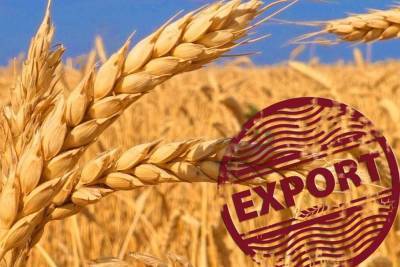 Около 57 тысяч тонн зерна смогут беспошлинно экспортировать липецкие аграрии