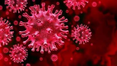 В Чехии назвали коронавирус «биологическим оружием Китая»