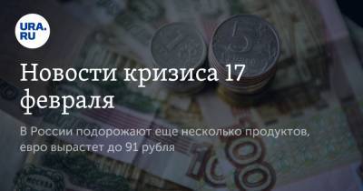 Новости кризиса 17 февраля. В России подорожают еще несколько продуктов, евро вырастет до 91 рубля