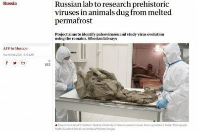 Российская лаборатория начала исследовать доисторические вирусы в животных из вечной мерзлоты
