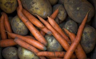 В России за год значительно подорожали морковь и картофель