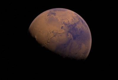 Обнаружены способные жить на Марсе организмы