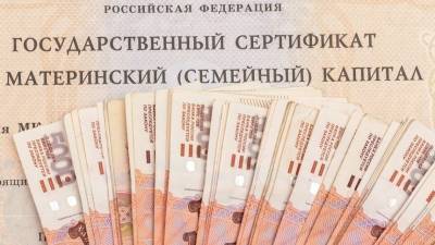 В Петербурге выявили схему мошенничества с обналичиванием маткапитала