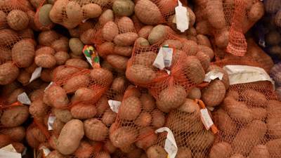 Картофель подорожал в России на 40% за пять недель