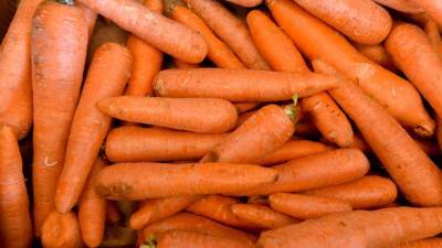 Цены на морковь увеличились на треть в 2021 году