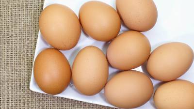 «Известия»: производители яиц и мяса птицы хотят увеличить закупочные цены на 10%