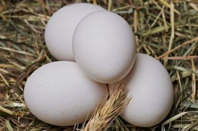 В Минсельхозе прокомментировали возможный рост цен на яйца и птицу