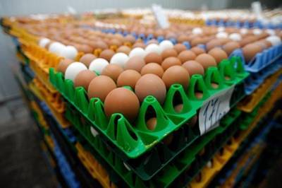 Минсельхоз работает над вопросом предотвращения роста цен на яйца и курицу