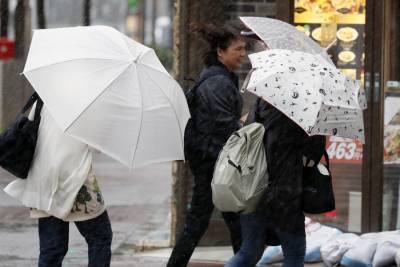 Четыре человека пострадали из-за сильного ветра в Японии