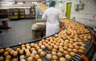 Магазины хотят повысить цену на яйца и мясо птицы