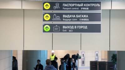 Пассажиров в российских аэропортах могут обязать проходить биометрию
