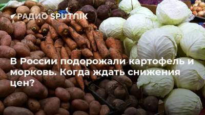 В России подорожали картофель и морковь. Когда ждать снижения цен?