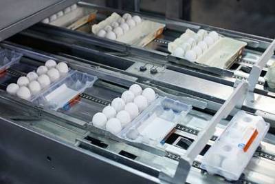 Российские власти не поверили в рост цен на мясо птицы и яйца nbsp
