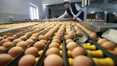 Ретейлеры сообщили о готовности повысить цены на птицу и яйца