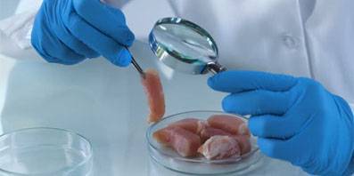 Россельхознадзор выявил ДНК свиньи в пробах говяжьей печени