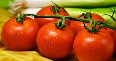 Узбекистан ввел запрет на импорт семян томатов и перца из Турции