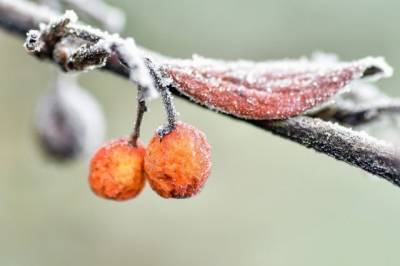 Москвичей в среду ожидает небольшой снег и легкие морозы