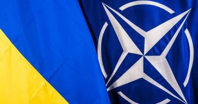 Кулеба объяснил Зеленскому, почему Украина не в НАТО, с точки зрения психиатрии