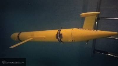 Россия создает подводные беспилотники для охоты на субмарины США