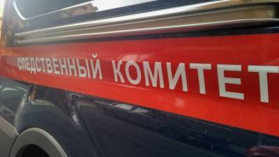 СК возбудил второе дело после избиения и истязания малыша в Красноярском крае